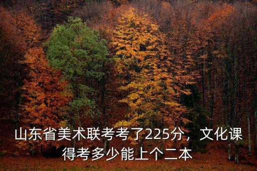 山東省美術(shù)聯(lián)考考了225分，文化課得考多少能上個二本