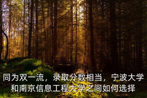 南京信息工程大學文科多少分錄取,南京信息工程大學