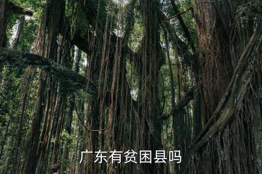 廣東有多少個國家級貧困縣,廣東有貧困縣嗎