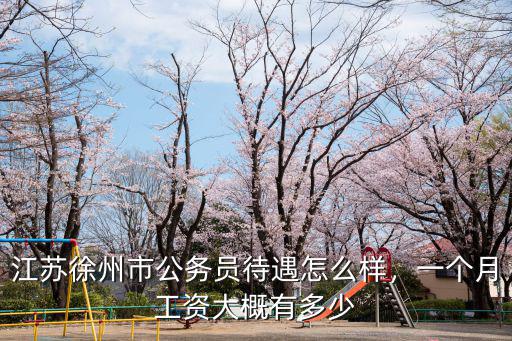 江蘇市容工資多少,江蘇徐州市公務員待遇怎么樣