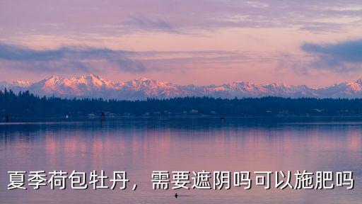 泰安荷包牡丹要多少錢,夏季荷包牡丹