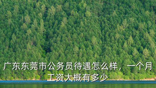 東莞市公安分局多少錢一個月,一個月工資大概有多少