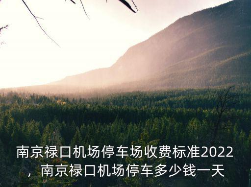 南京祿口機場停車場收費標準2022，南京祿口機場停車多少錢一天