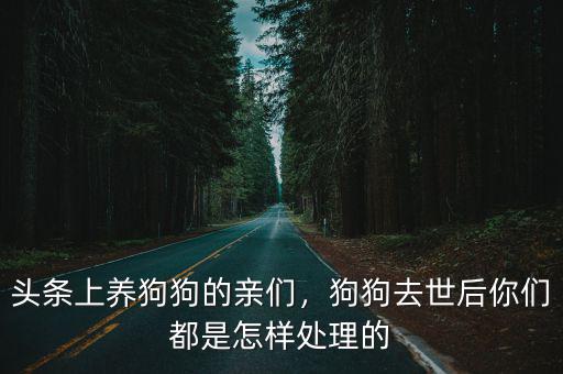 頭條上養(yǎng)狗狗的親們，狗狗去世后你們都是怎樣處理的