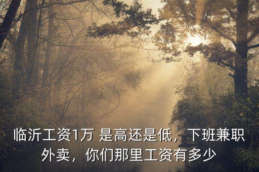 臨沂工資1萬 是高還是低，下班兼職外賣，你們那里工資有多少