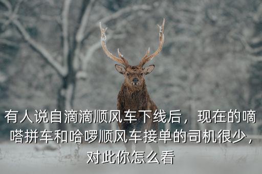有人說自滴滴順風車下線后，現在的嘀嗒拼車和哈啰順風車接單的司機很少，對此你怎么看