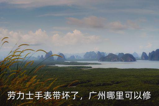 廣州哪里換勞力士表帶,勞力士手表帶壞了