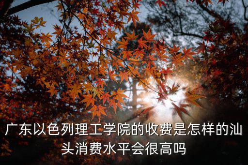 廣東以色列理工學(xué)院的收費(fèi)是怎樣的汕頭消費(fèi)水平會(huì)很高嗎