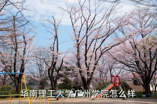 華南理工大學(xué)廣州學(xué)院怎么樣