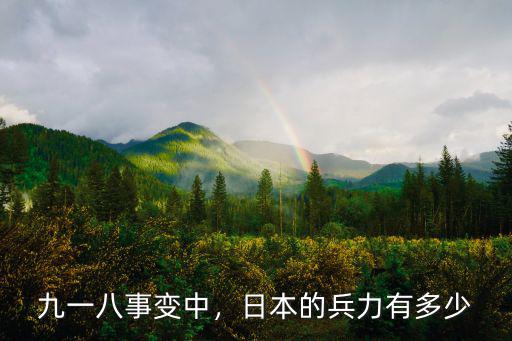 日本打南京有多少軍艦,能守住上海南京嗎