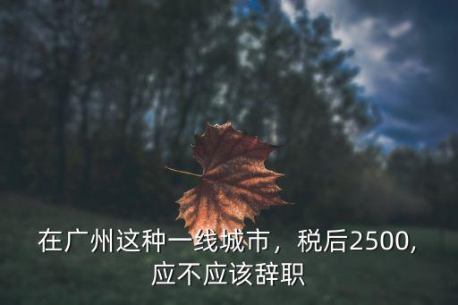在廣州這種一線城市，稅后2500,應不應該辭職