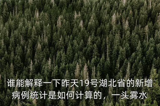 誰能解釋一下昨天19號湖北省的新增病例統計是如何計算的，一頭霧水