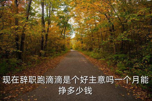 現在辭職跑滴滴是個好主意嗎一個月能掙多少錢