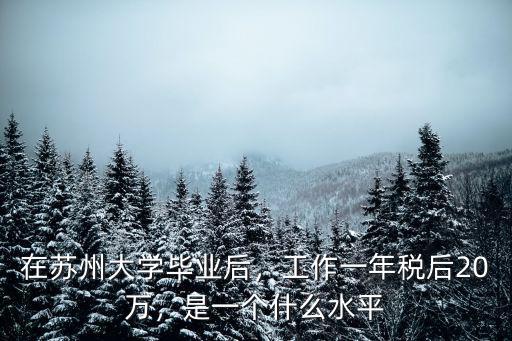 在蘇州大學(xué)畢業(yè)后，工作一年稅后20萬(wàn)，是一個(gè)什么水平
