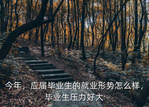 今年，應(yīng)屆畢業(yè)生的就業(yè)形勢怎么樣，畢業(yè)生壓力好大
