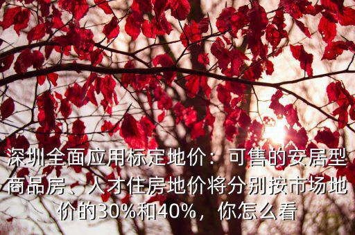 深圳市的標(biāo)準(zhǔn)地價(jià)是多少,深圳全面應(yīng)用標(biāo)定地價(jià)