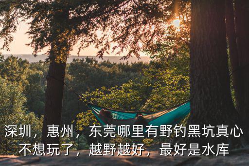 深圳，惠州，東莞哪里有野釣黑坑真心不想玩了，越野越好，最好是水庫(kù)