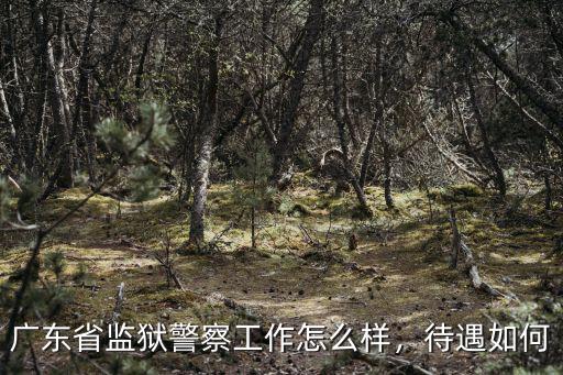 廣東雅威怎么樣待遇,廣東省公務員待遇怎么樣
