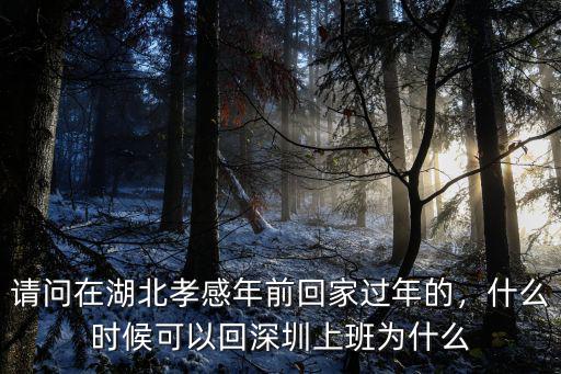 請問在湖北孝感年前回家過年的，什么時候可以回深圳上班為什么