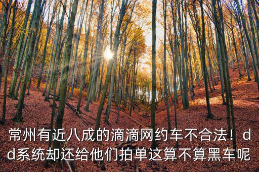 常州有多少滴滴,想去常州跑滴滴
