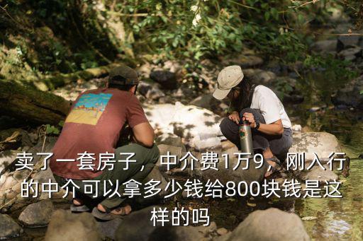 賣了一套房子，中介費1萬9，剛入行的中介可以拿多少錢給800塊錢是這樣的嗎