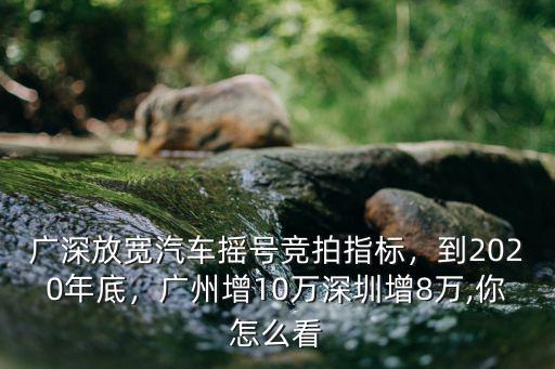 深圳競拍從哪里看競拍人數,廣深放寬汽車搖號競拍指標