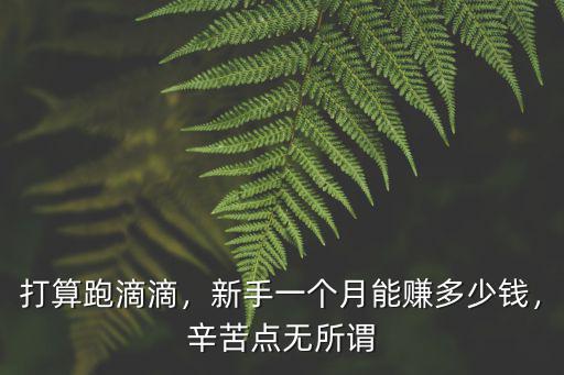 打算跑滴滴，新手一個(gè)月能賺多少錢，辛苦點(diǎn)無所謂