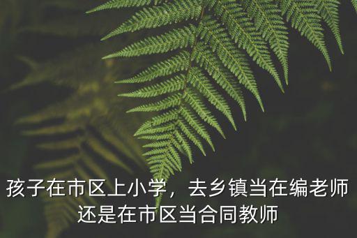 孩子在市區上小學，去鄉鎮當在編老師還是在市區當合同教師