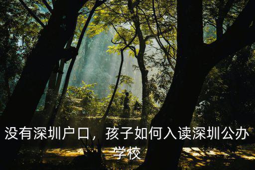 沒有深圳戶口，孩子如何入讀深圳公辦學校