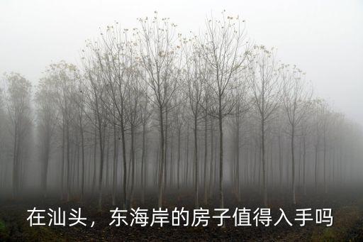 在汕頭，東海岸的房子值得入手嗎
