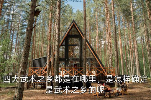 四大武術之鄉都是在哪里，是怎樣確定是武術之鄉的呢