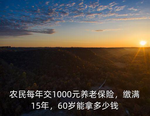 農民每年交1000元養老保險，繳滿15年，60歲能拿多少錢