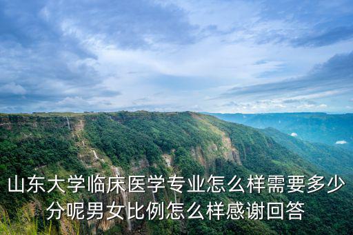 山東大學普體專業要多少分,美術專業生綜合分最低多少