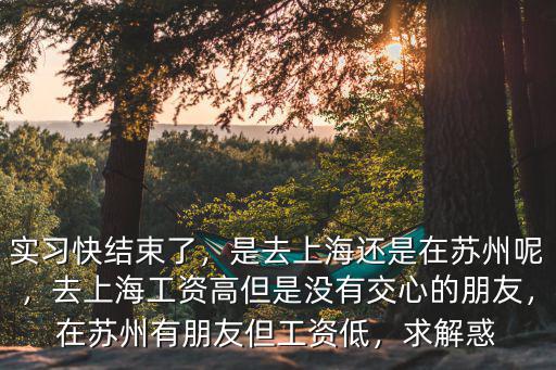 實習快結束了，是去上海還是在蘇州呢，去上海工資高但是沒有交心的朋友，在蘇州有朋友但工資低，求解惑