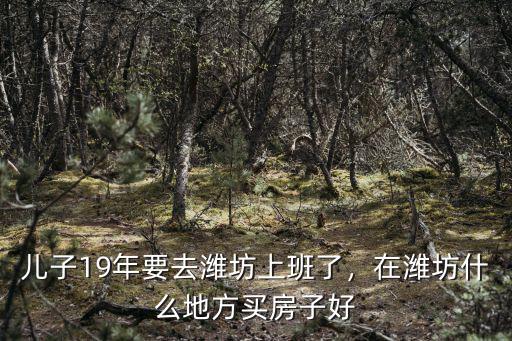 濰坊奎文區(qū)買房子多少錢,在濰坊什么地方買房子好