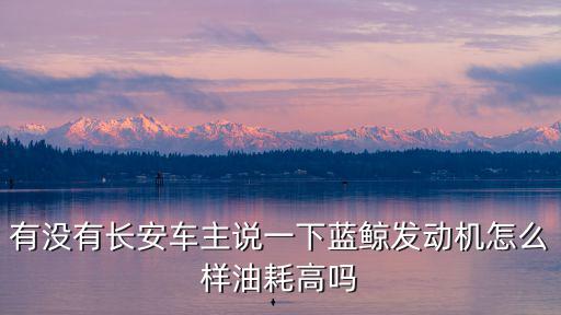 有沒有長安車主說一下藍鯨發動機怎么樣油耗高嗎