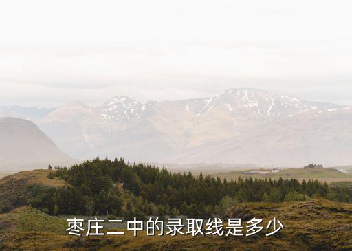 今年棗莊二中高考最高分是多少,棗莊二中的錄取線是多少