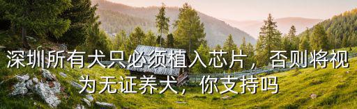 深圳所有犬只必須植入芯片，否則將視為無證養(yǎng)犬，你支持嗎