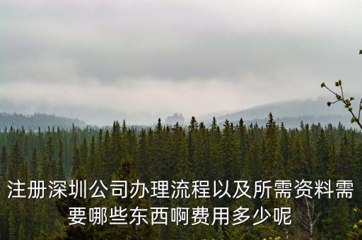 注冊深圳公司辦理流程以及所需資料需要哪些東西啊費用多少呢