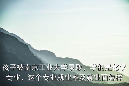 孩子被南京工業(yè)大學錄取，學的是化學專業(yè)，這個專業(yè)就業(yè)率及就業(yè)面怎樣