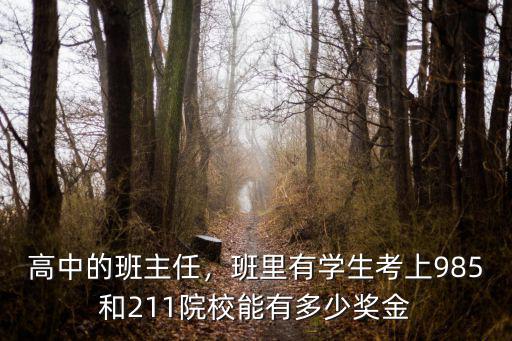 高中的班主任，班里有學生考上985和211院校能有多少獎金