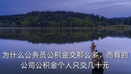 為什么公務員公積金交那么多，而有的公司公積金個人只交幾十元