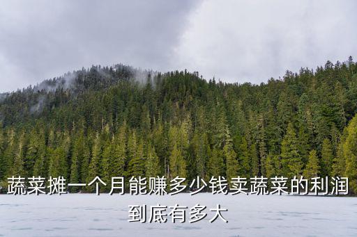 蔬菜攤一個月能賺多少錢賣蔬菜的利潤到底有多大