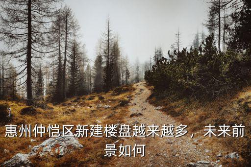 惠州仲愷哪里小公司多,惠州仲愷有哪些知名企業
