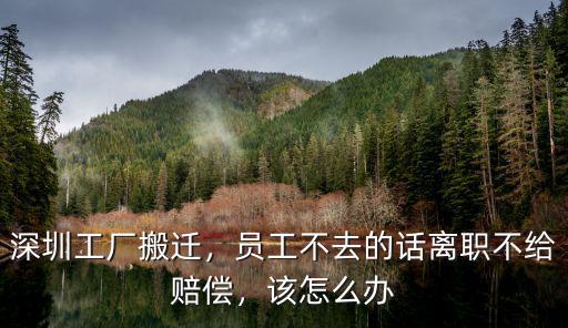 深圳工廠怎么都搬遷,深圳工廠搬遷
