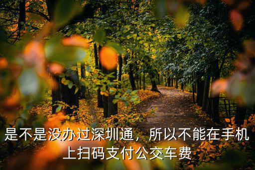 是不是沒辦過深圳通，所以不能在手機上掃碼支付公交車費