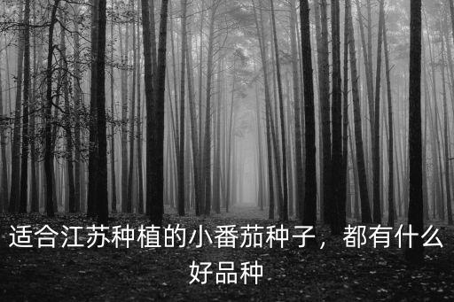 適合江蘇種植的小番茄種子，都有什么好品種