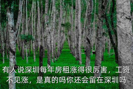 有人說深圳每年房租漲得很厲害，工資不見漲，是真的嗎你還會留在深圳嗎
