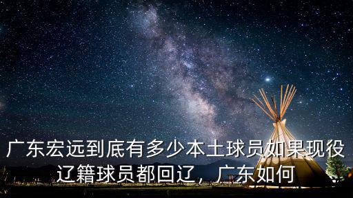 廣東宏遠足球隊多少人,廣東宏遠到底有多少本土球員