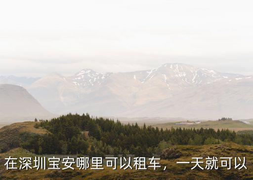 在深圳寶安哪里可以租車，一天就可以